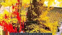 Chi ha inventato i raggi X