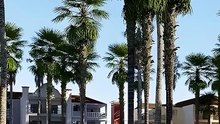 Hiszpania (Teneryfa) wakacje all inclusive od 18.07.2026 | Lastradar