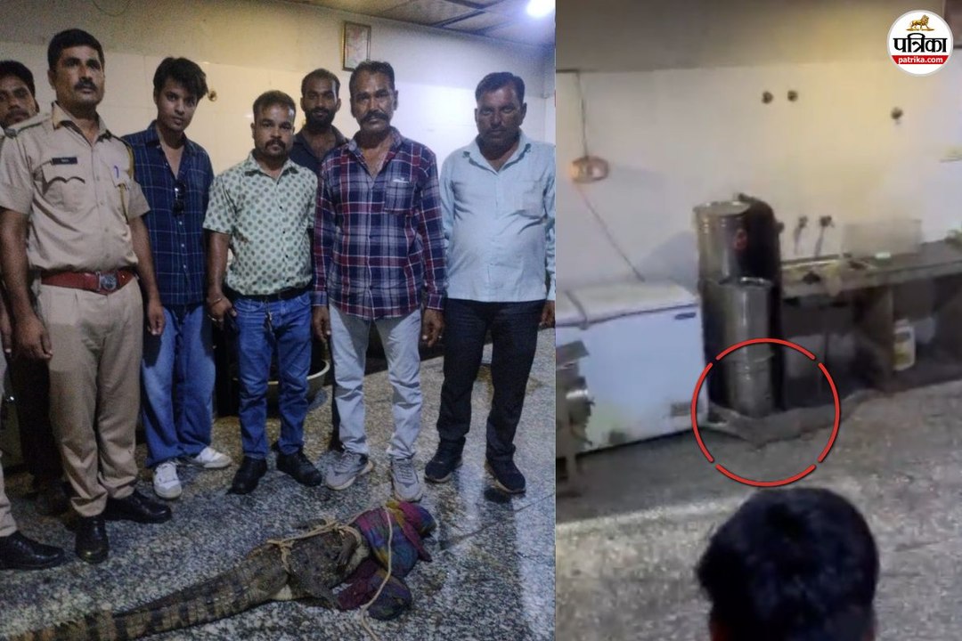 Kota: हॉस्टल में घुसा 5 फीट लंबा मगरमच्छ, डर गए स्टूडेंट, जान बचाकर भागने लगे लोग