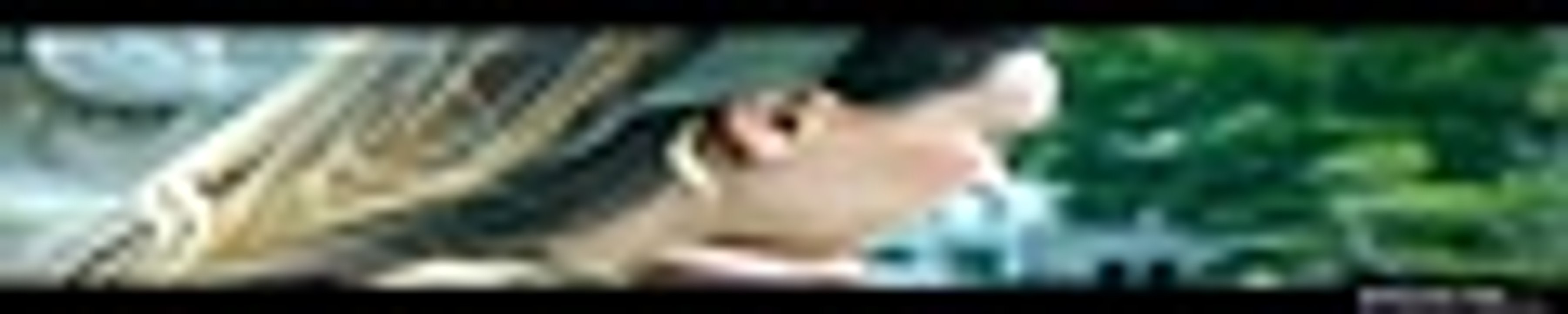 ...Vanished ...S01E02 [Full Movie] [Ranked]Full EP - Full