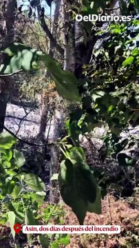 Los vecinos vuelven unos minutos a Asín y Orés entre cenizas: “Salimos con lo puesto y volvemos devastados”