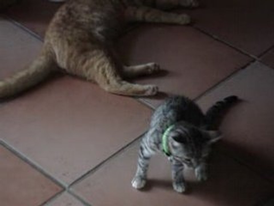 Aslan et Patxi 2