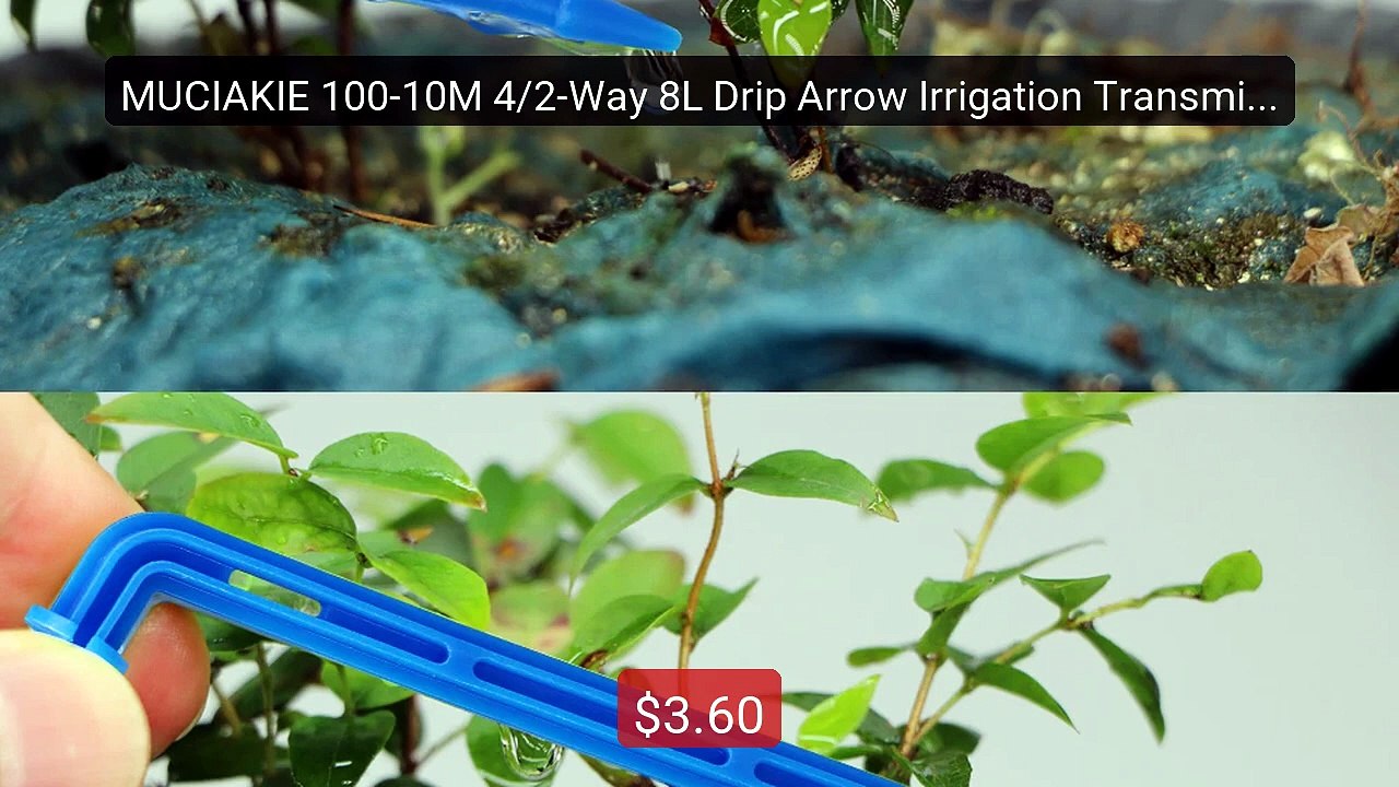 MUCIAKIE 100-10M 4/2-Way 8L Drip Arrow Irrigation Transmitter Water... -- Top Rated 2026 | Buy Now!