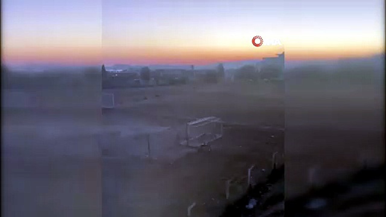 Milas’ta yaban domuzları futbol sahasını mesken tuttu