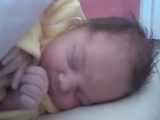 Groos dodo