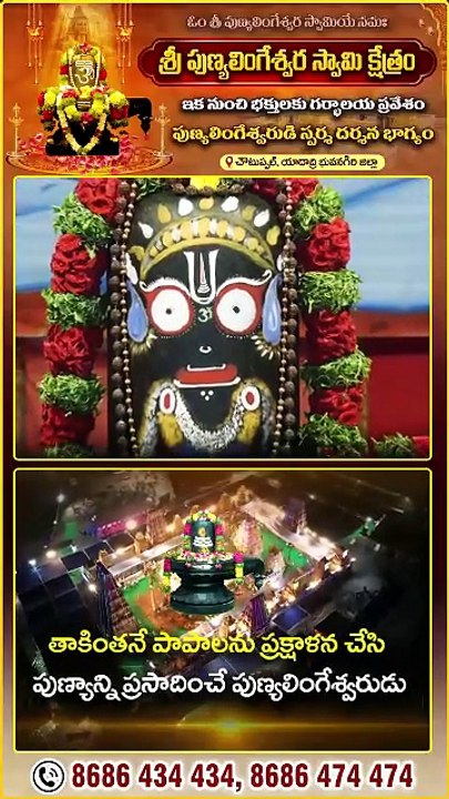 All  Jyotirlinga at Sri Punya Lingeshwara Swamy