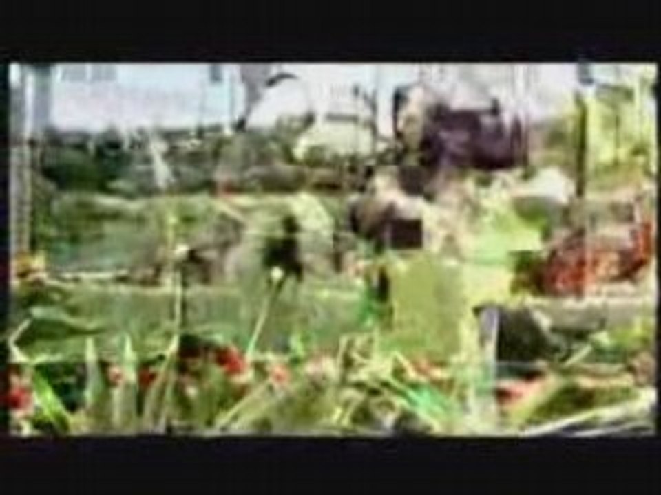 Rai chaabi omar el jenni 2 maroc 2008