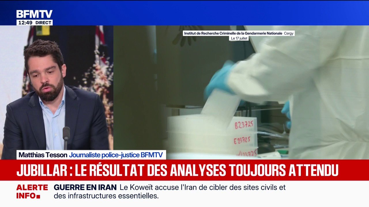 Affaire Jubillar: l'identification des ossements trouvés près de Cagnac-les-Mines toujours en cours