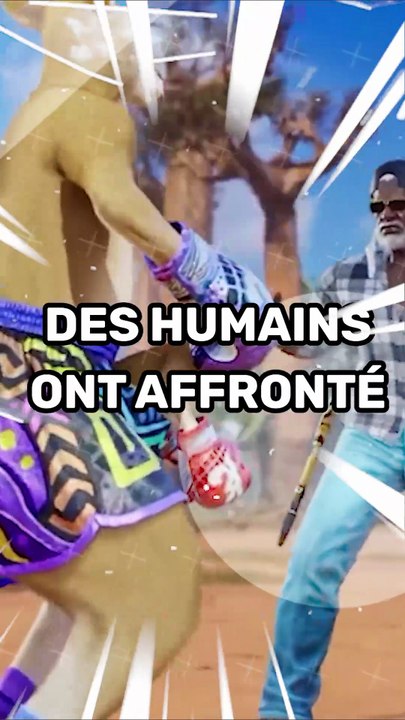 Des humains ont affronté des kangourous sur un vrai ring !