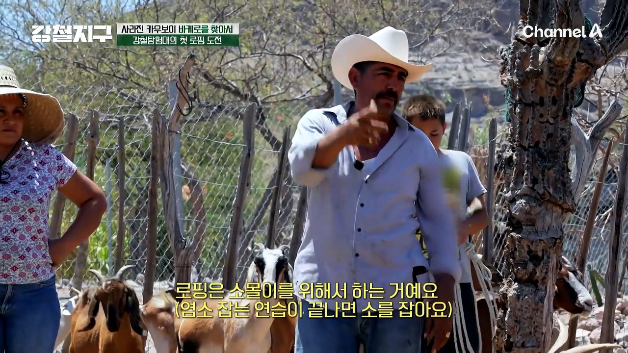 "나도 카우보이가 되겠어!" 염소의 목덜미를 정확히 낚아채는 로핑 기술에 도전한 강철탐험대