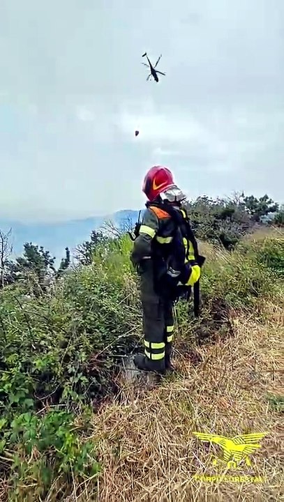 Incendio nelle campagne di Burgos | SABATO 18 LUGLIO 2026