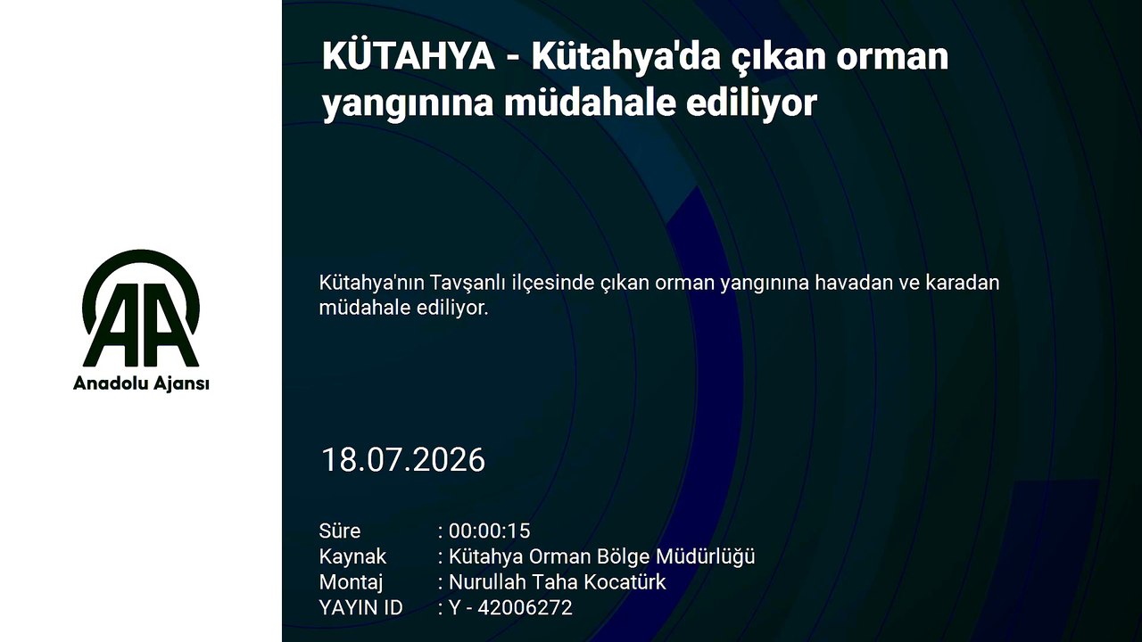 Kütahya'da çıkan orman yangınına müdahale ediliyor