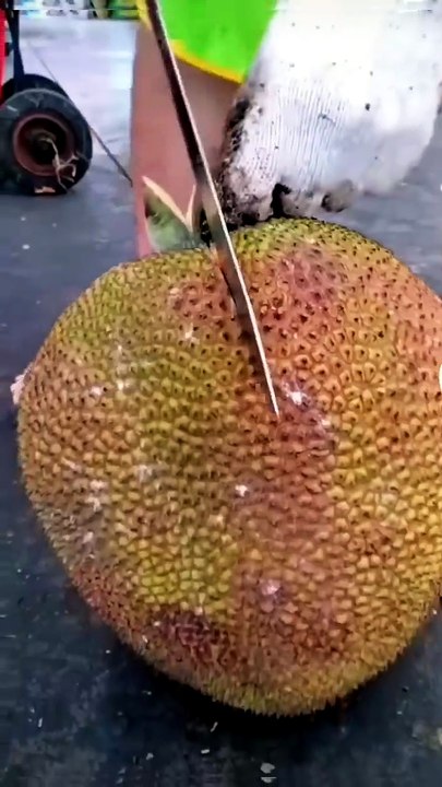 Satisfying Jackfruit Cutting Skills 🍈 | Amazing Fruit Cutting Process | Viral Food Short