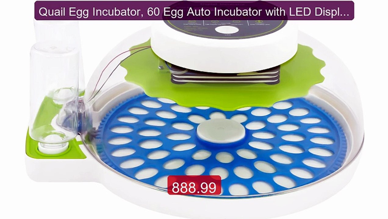 Quail Egg Incubator, 60 Egg Auto Incubator with LED Display... -- Top Pick 2026 | Unbeatable Price!