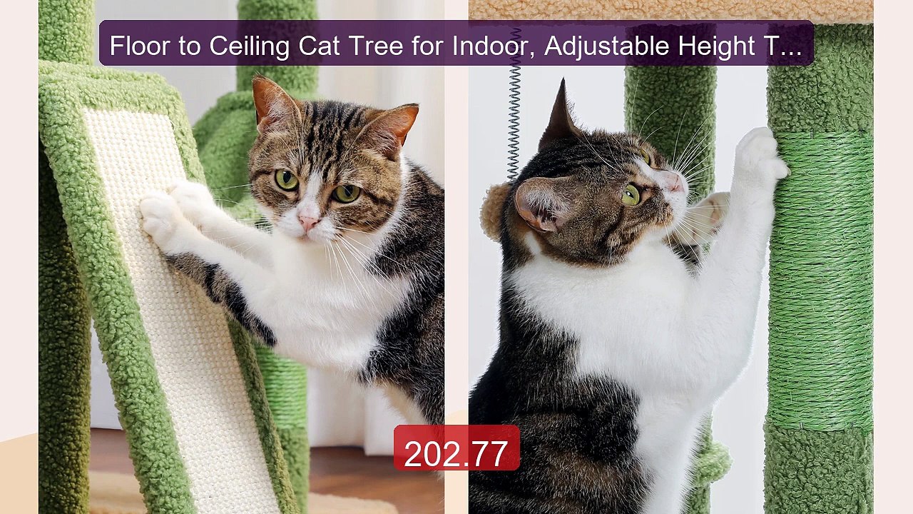 Floor to Ceiling Cat Tree for Indoor, Adjustable Height Tall Cat T... -- Best Deal 2026 | Shop Now!