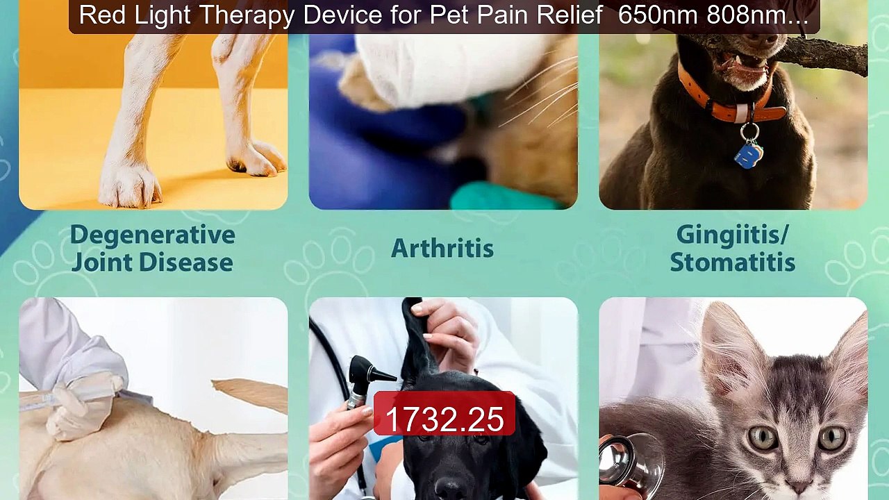Red Light Therapy Device for Pet Pain Relief  650nm 808nm Cold Low ... -- Top Rated 2026 | Buy Now!