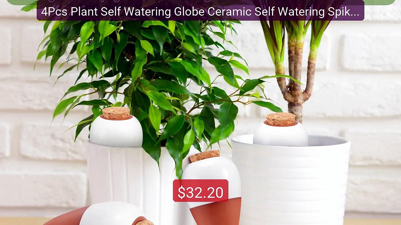 4Pcs Plant Self Watering Globe Ceramic Self Watering Spike wit... -- Best Buy 2026 | Great Quality!