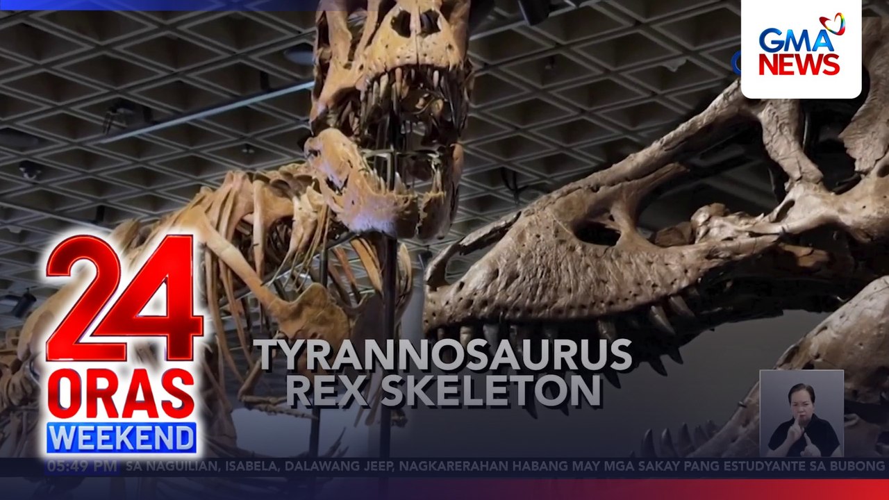 T-rex skeleton, nasubasta ng $50.1M o mahigit P3B | 24 Oras Weekend