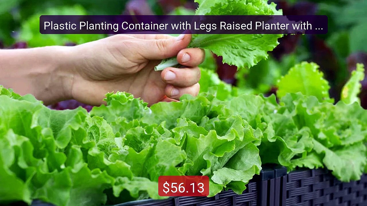 Plastic Planting Container with Legs Raised Planter with Dr... -- Top Pick 2026 | Unbeatable Price!