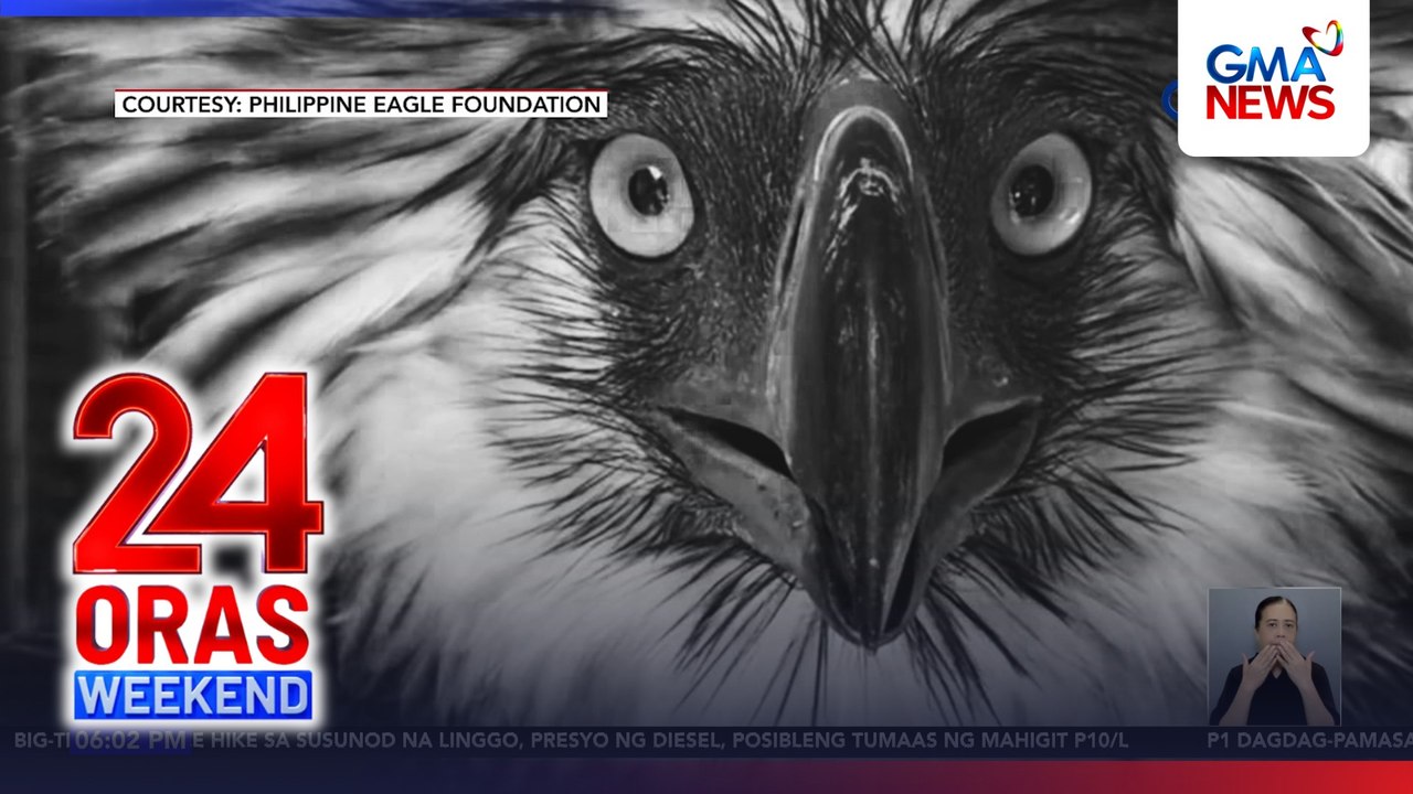Nasagip na Philippine eagle sa Bukidnon, pumanaw na | 24 Oras Weekend