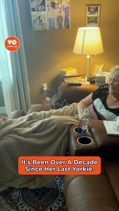 Emotional Reunion: Grandmother Receives Yorkie Puppy After Years