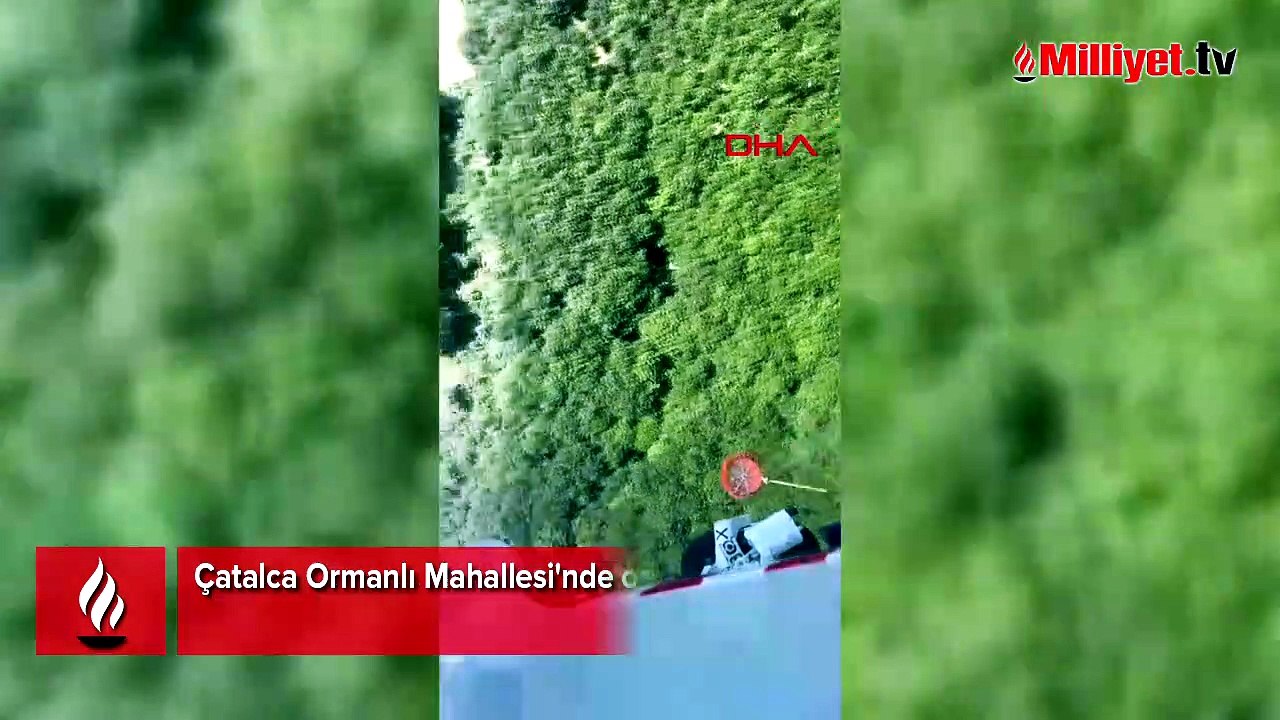 Çatalca'da orman yangını! Havadan karadan müdahale