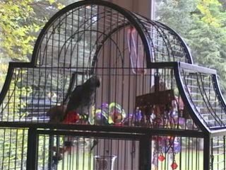 Isabelle aime Tsuki coucou ma chérie