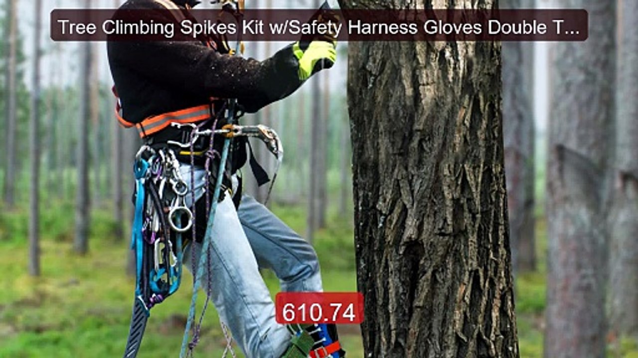 Tree Climbing Spikes Kit w/Safety Harness Gloves Double Teeth ... -- Best Buy 2026 | Great Quality!