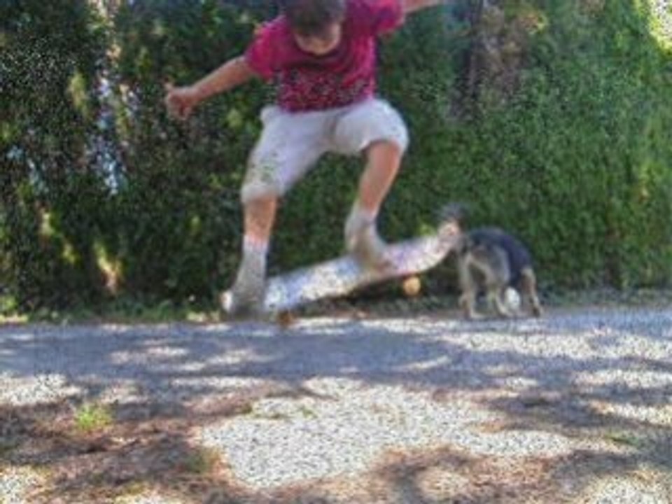 Moi Skate compil