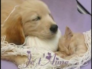 A cosa servono le mani