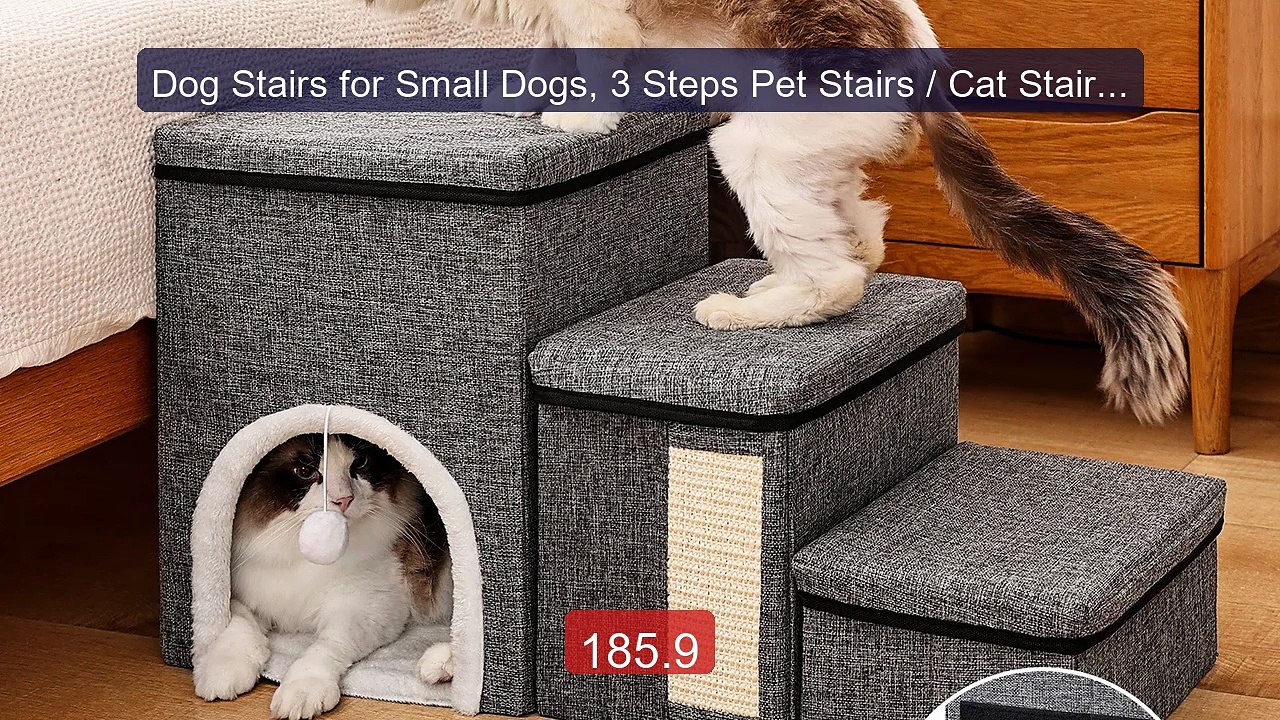 Dog Stairs for Small Dogs, 3 Steps Pet Stairs / Cat Stairs for Bed ... -- Top Rated 2026 | Buy Now!