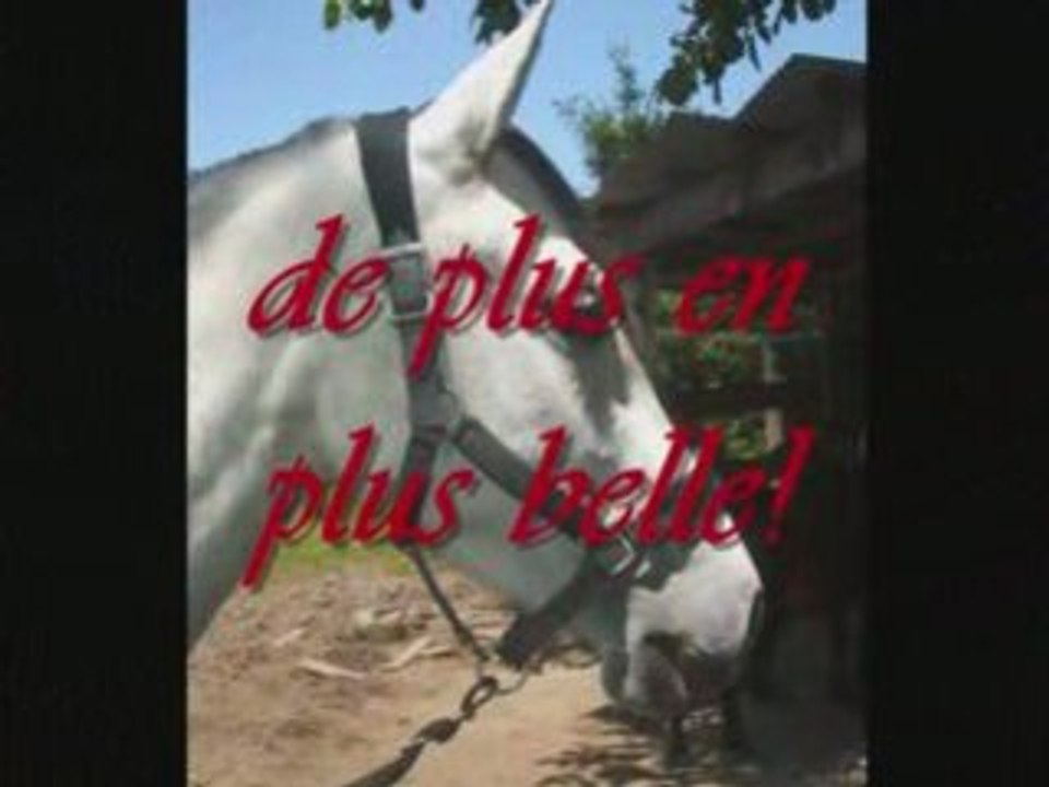 Angie_0001