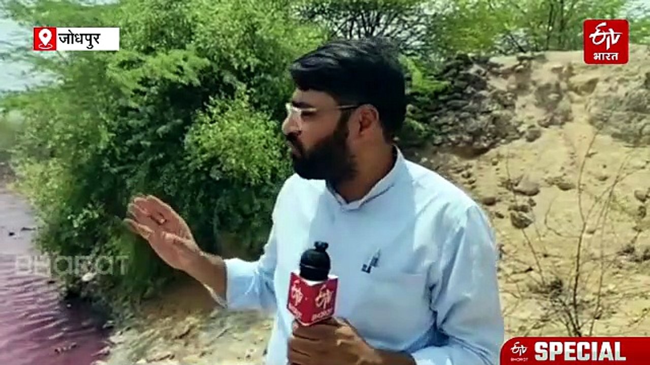 जोजरी के किनारे तालाब का पानी हुआ गुलाबी, प्रदूषण नियंत्रण मंडल की रिपोर्ट में अपशिष्ट-कार्बनिक की मौजूदगी