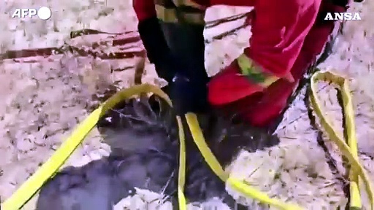 Maxi incendi in Spagna, in azione esercito e vigili del fuoco