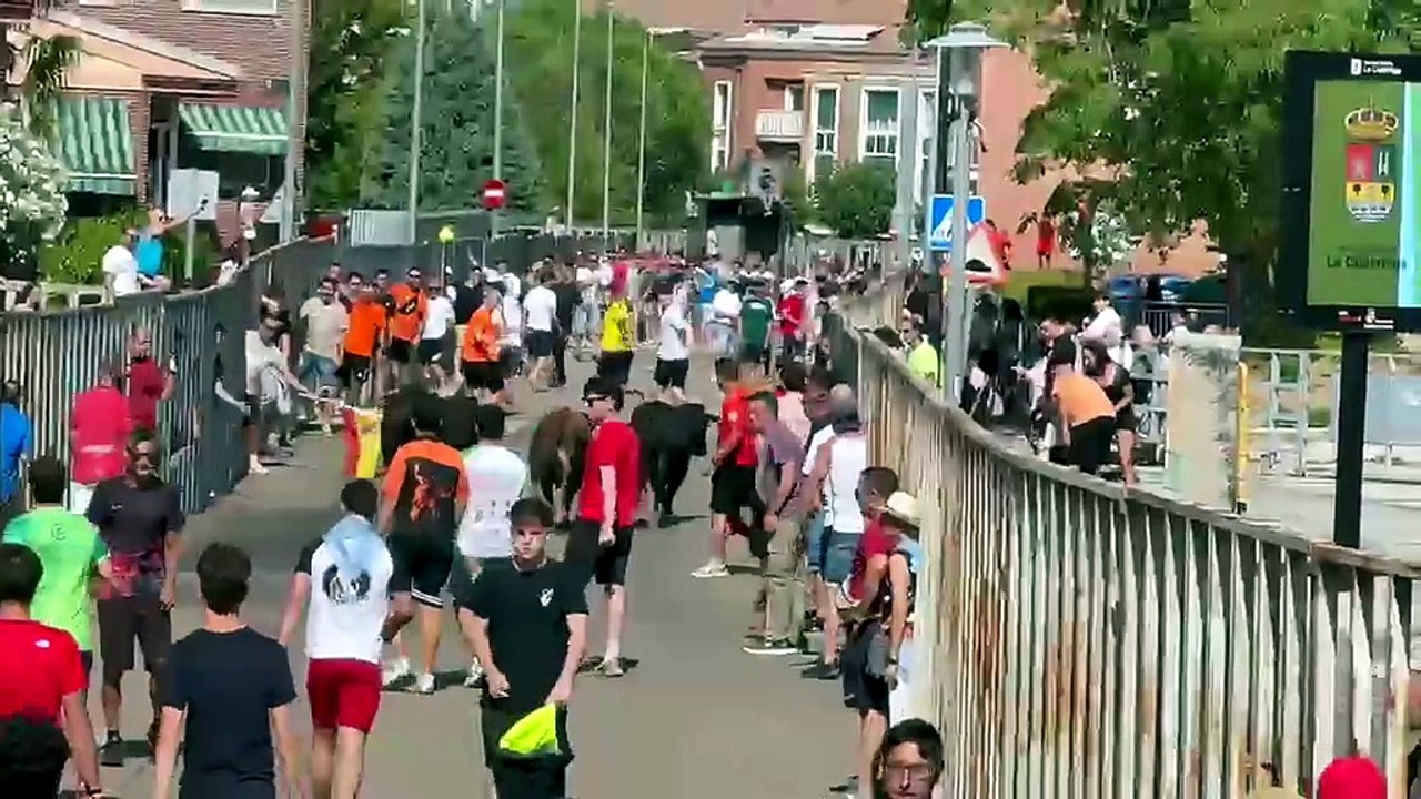 Encierro en La Cistérniga
