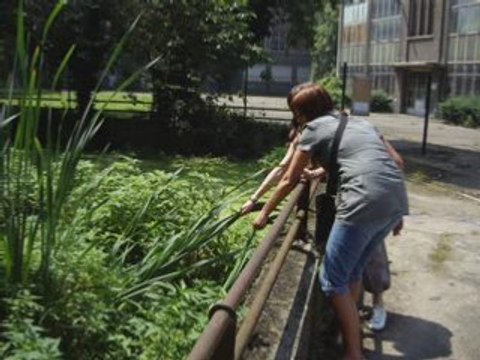 Forem Formation ESNA2