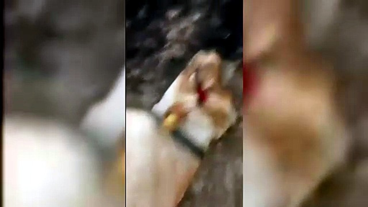 Inferno di fuoco a Noragugume, le fiamme sterminano il bestiame: il dolore di un allevatore - VIDEO