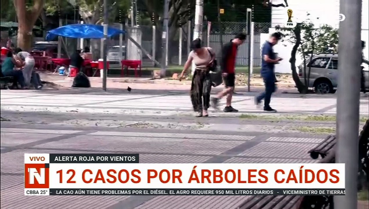 FUERTES VIENTOS EN SANTA CRUZ - CAEN 12 ÁRBOLES