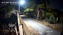 Εμπρησμός στην άνοιξη