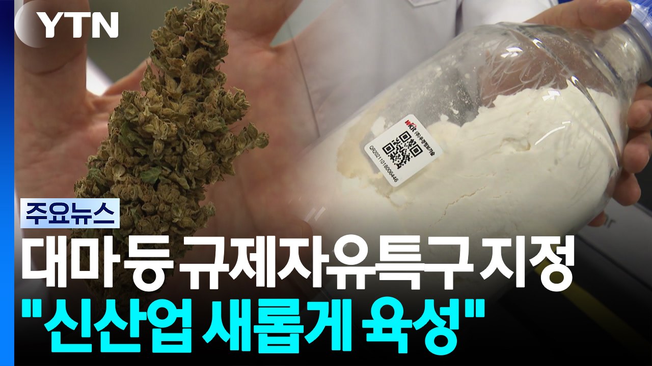 대마 등 규제자유특구 지정..."신산업 주도권 쥘 기회" / YTN