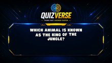 Quiz (5)