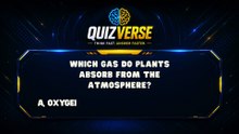Quiz (6)