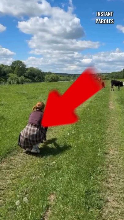 Cet agneau retrouve sa mère après avoir été séparé d’elle