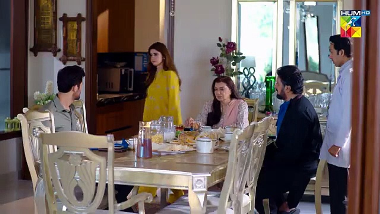 Aye Dil Aazma Nahin Episode 33 18th_July_2026_-_[_Mirza_Zain_Baig___Hina_Tariq_]_HUM_TV(360p)