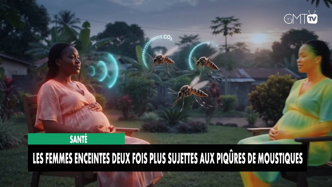 [#Reportage] Santé : les femmes enceintes deux fois plus sujettes aux picures de moustiques
