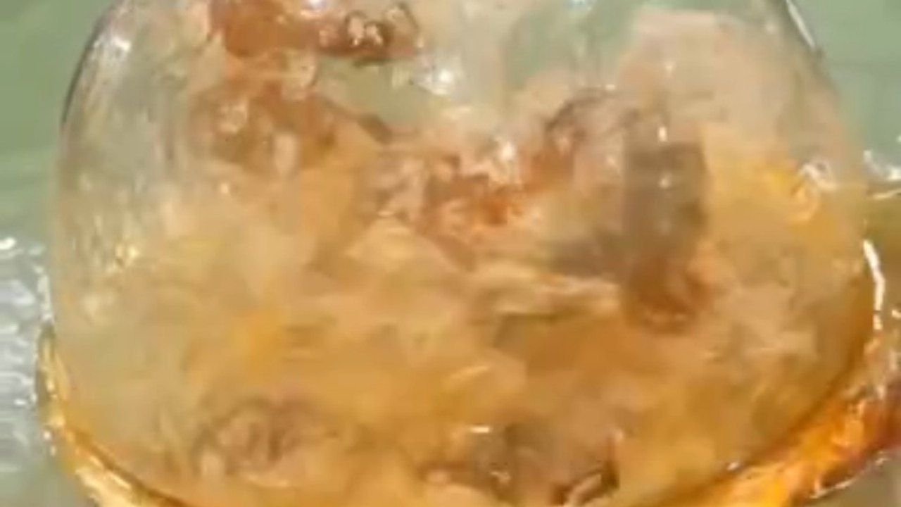 (Foodie): The ultimate fresh seafood experience! Dancing Shrimp Challenge 🌊