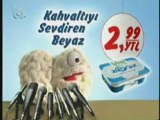 Pınar Beyaz En Son