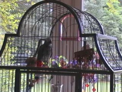 Coucou ma chérie ça va ma chérie