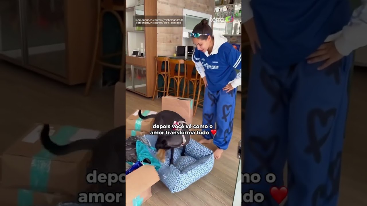 Cantora mostra evolução de cão adotado em palco na Paraíba: 'O amor transforma tudo' #shorts