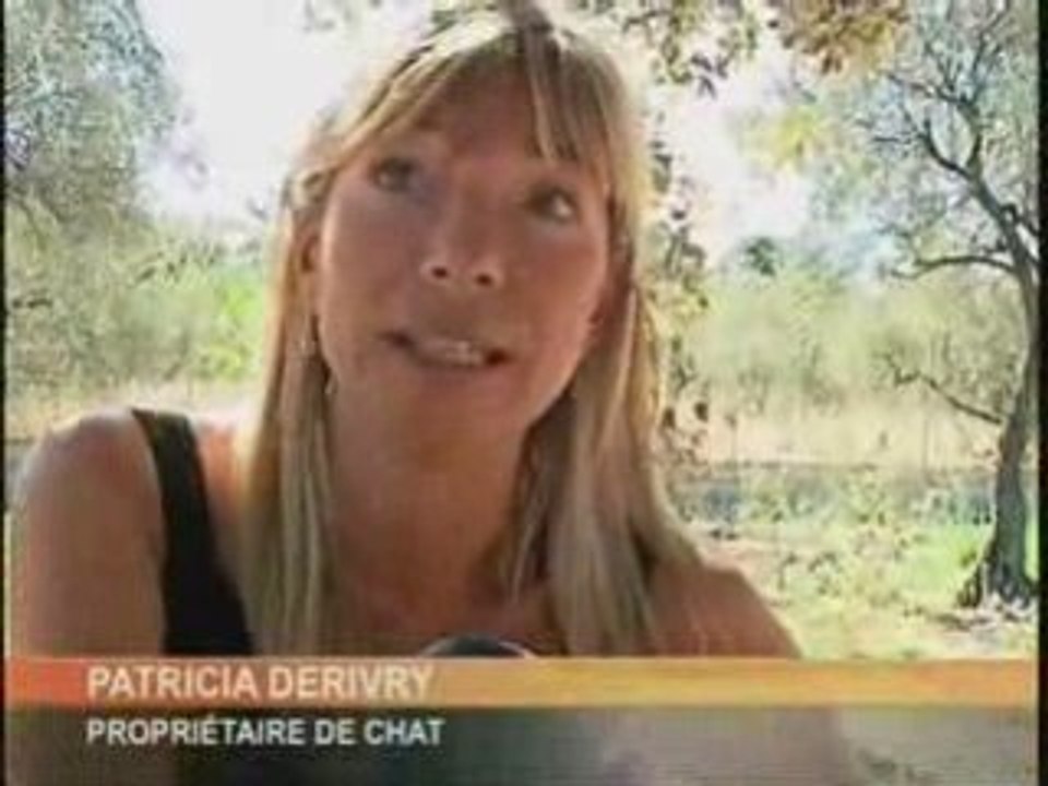 7LTV France